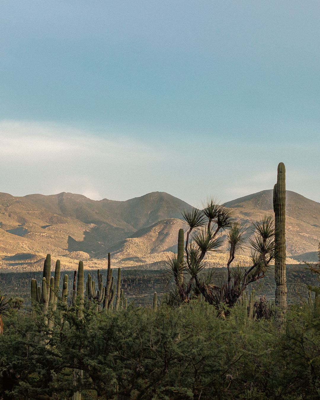TEHUACÁN