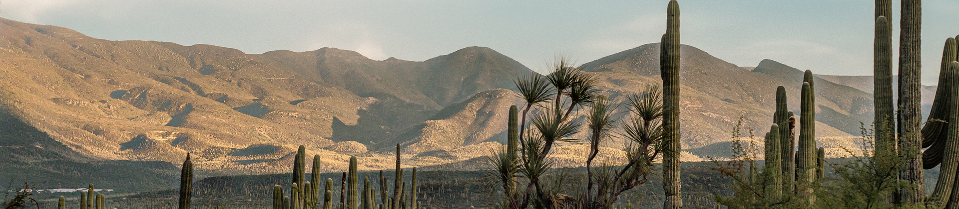 Tehuacán