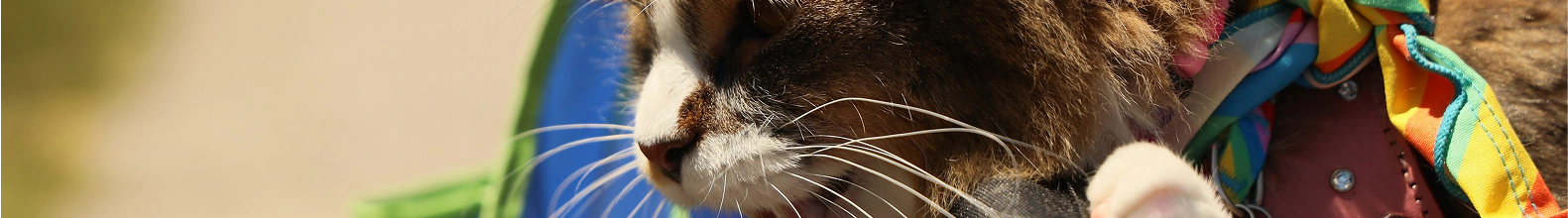 Banner da categoria Todas as Roupas