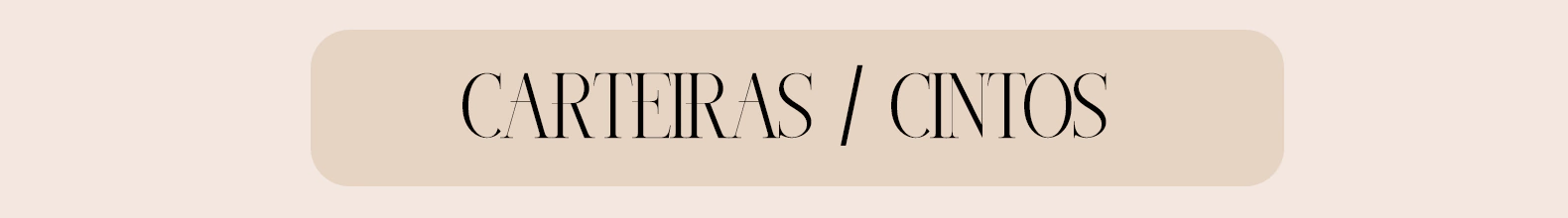 Banner da categoria Carteiras / Cintos