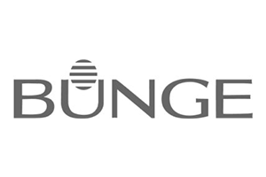 Bunge