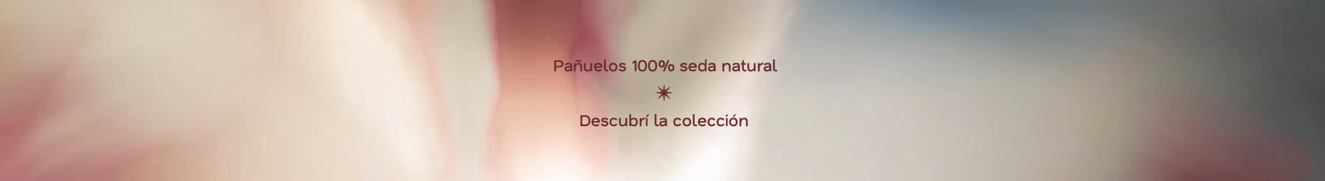 Banner de la categoría Pañuelos