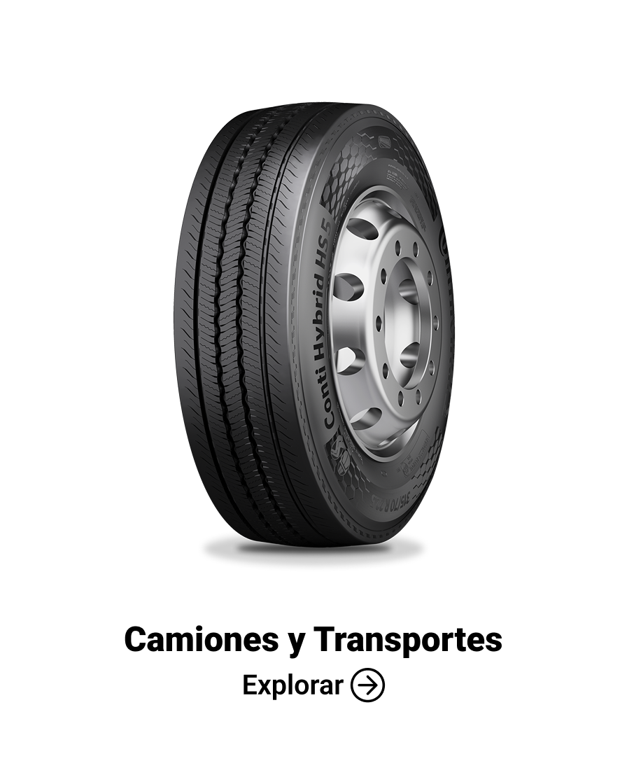 Camiones y transportes