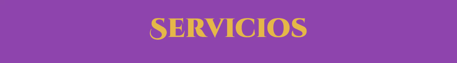 Banner de la categoría Servicios