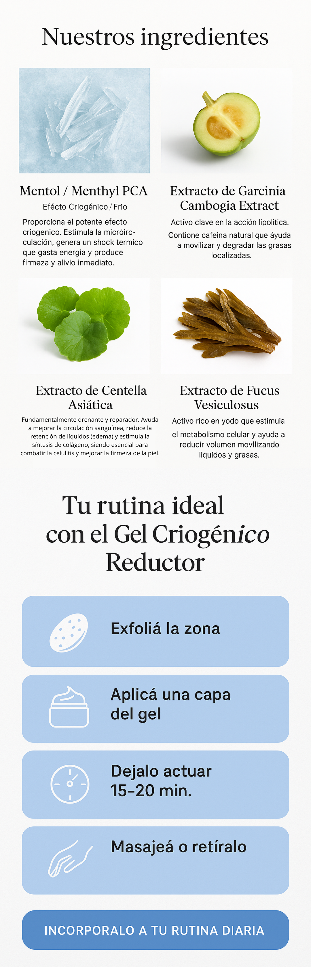 Sección 4 - Ingredientes y rutina