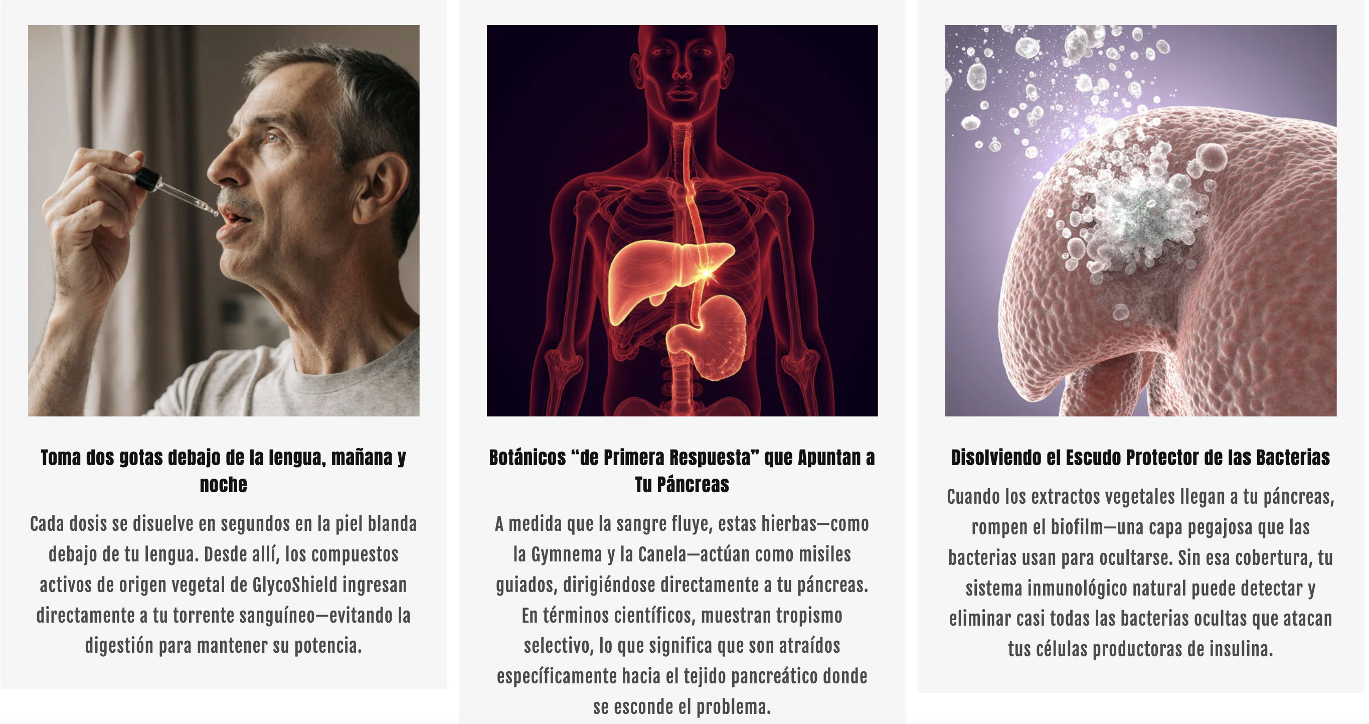 Glyco Shield® Liquid nutritional supplement