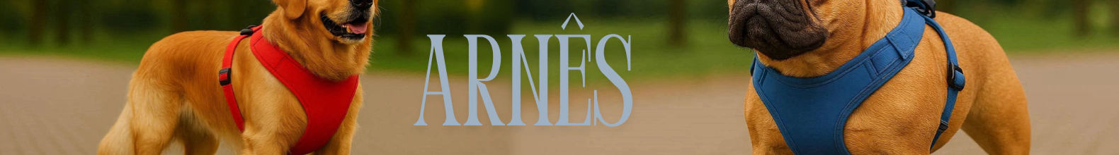 Banner da categoria Arnês