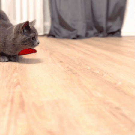 SunCar Pro Parasol Plegable para auto &ndash; Best Store Chile