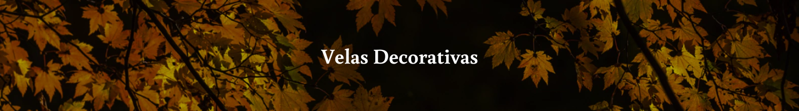 Banner da categoria Decorativas