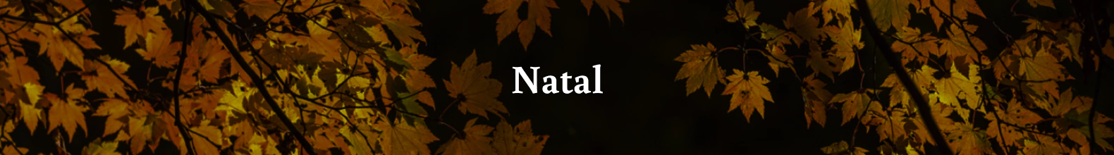 Banner da categoria Natal