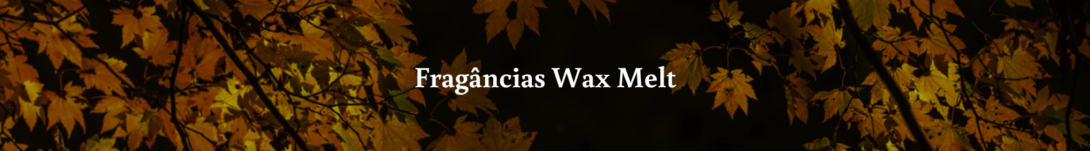 Banner da categoria Fragâncias Wax Melt