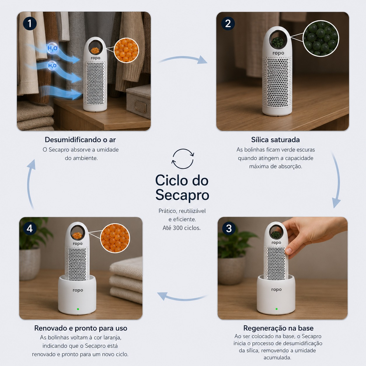 Ciclo Secapro
