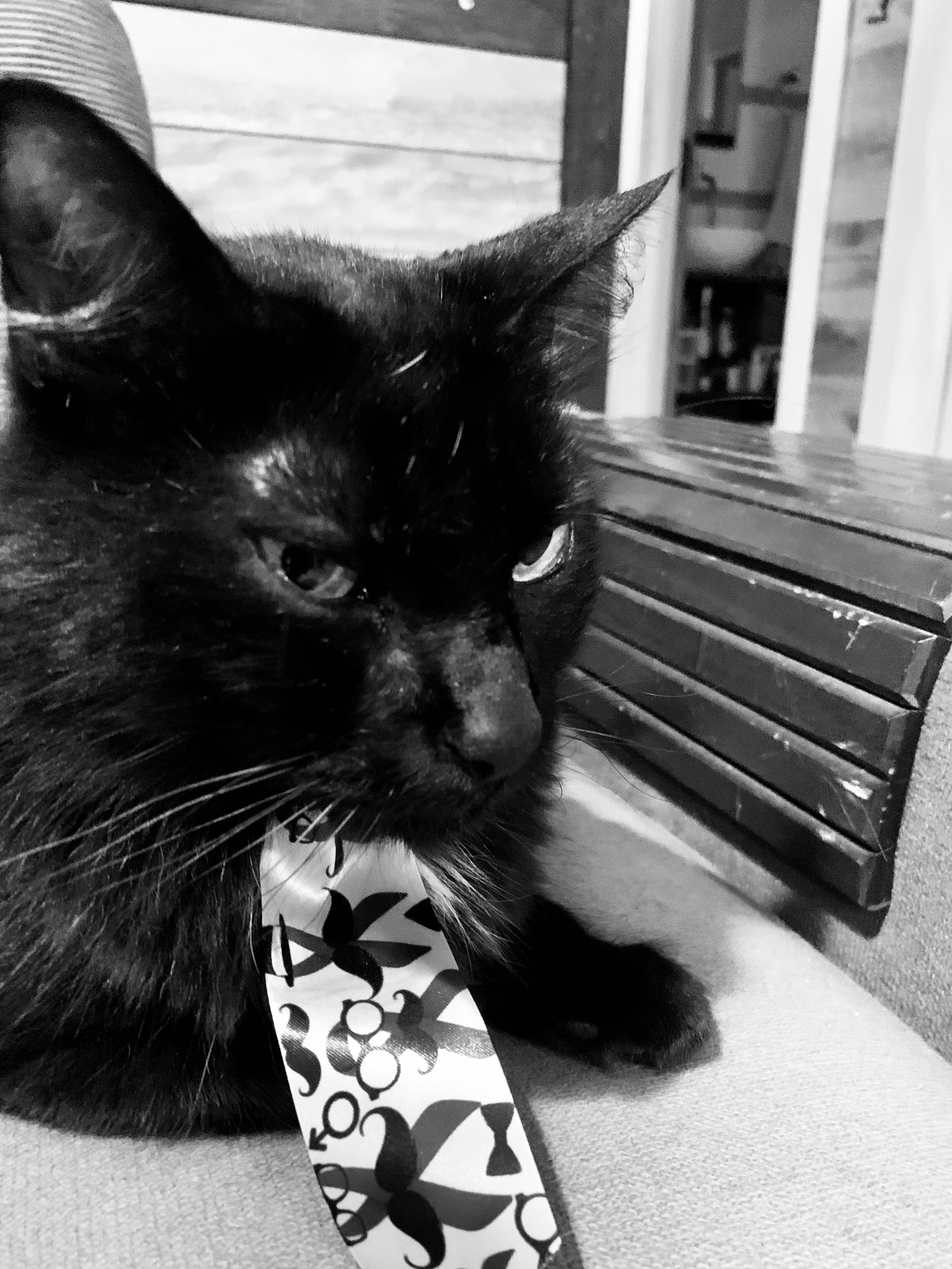 Jedi - Coordenador de Estoque