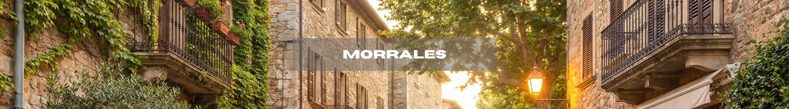 Banner de la categoría Morrales