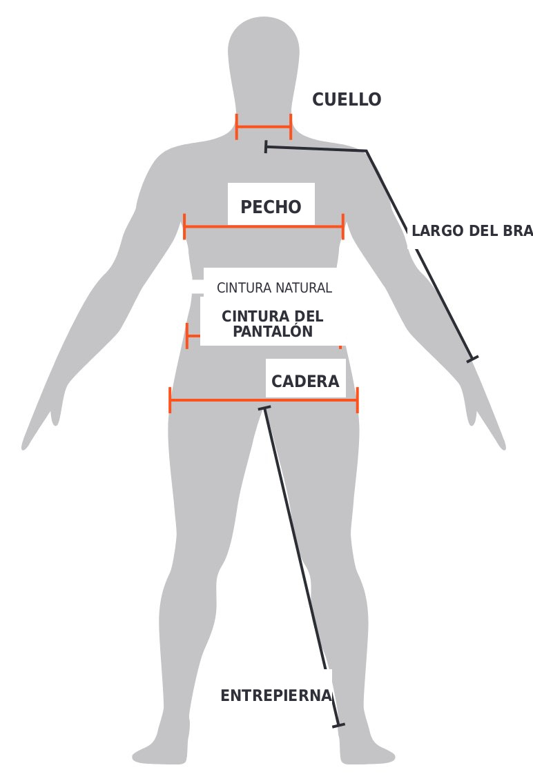 Guía visual de medidas en español