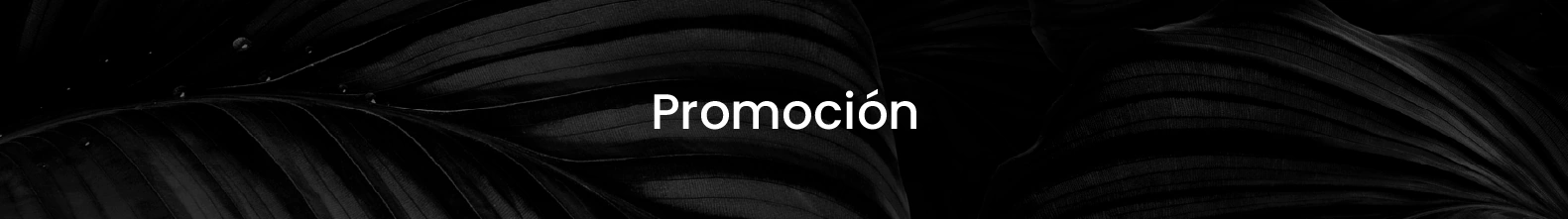 Banner de la categoría Promoción