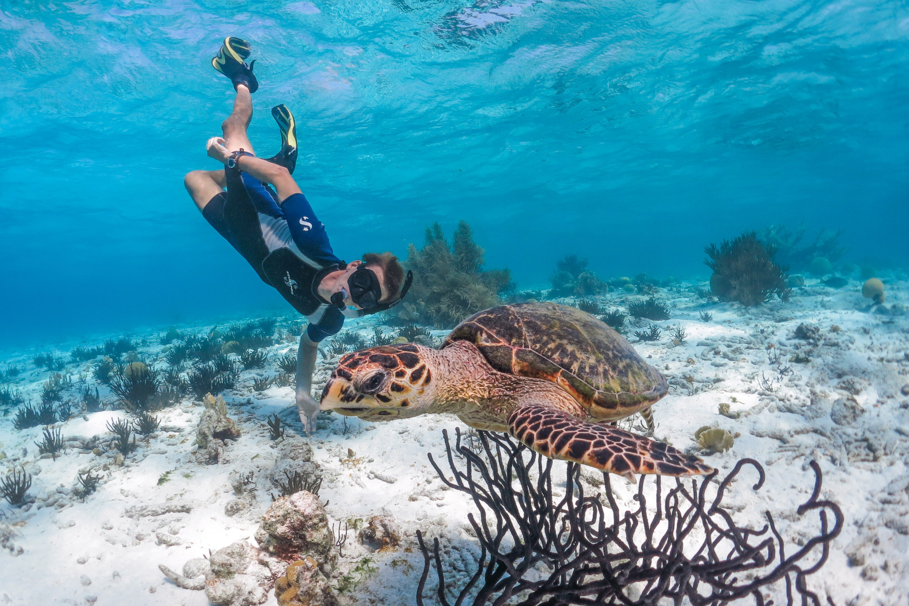 Bonaire