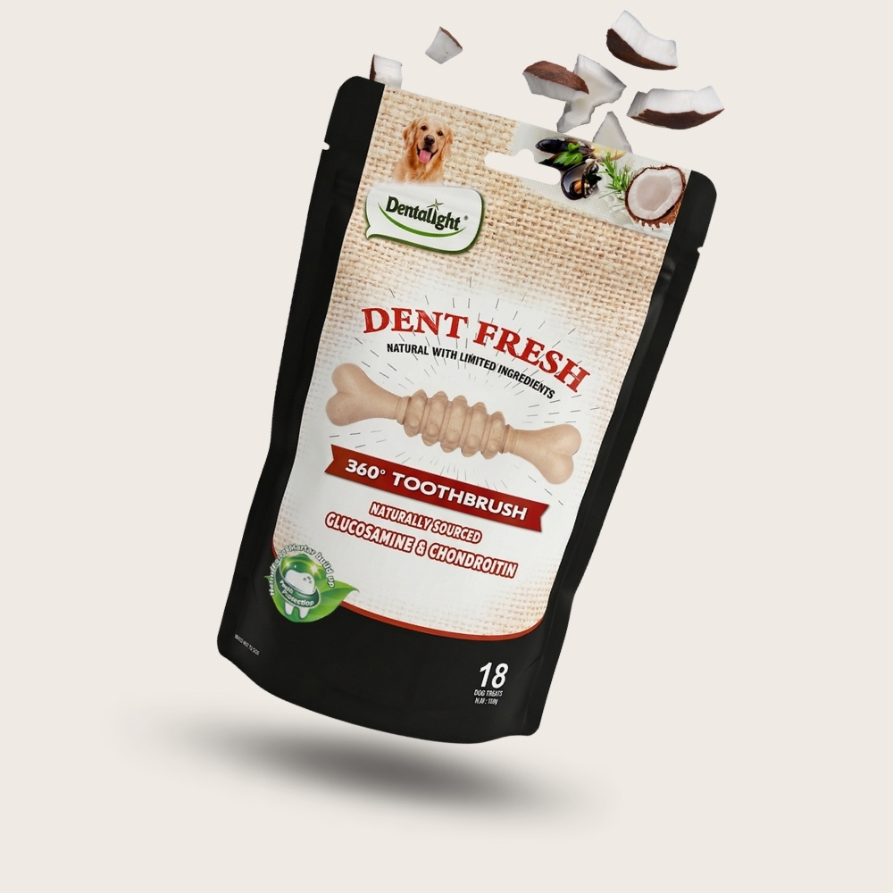 Dent Fresh Coco