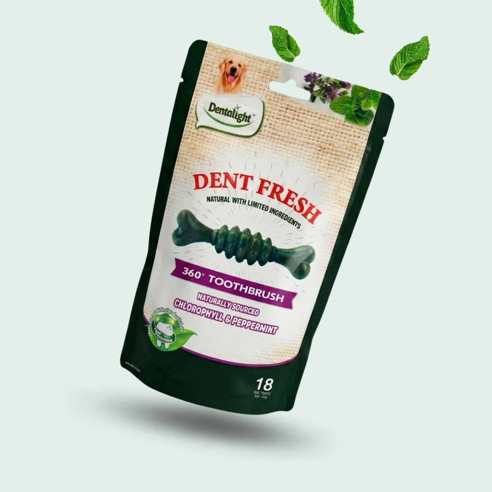 Dent Fresh Hortelã