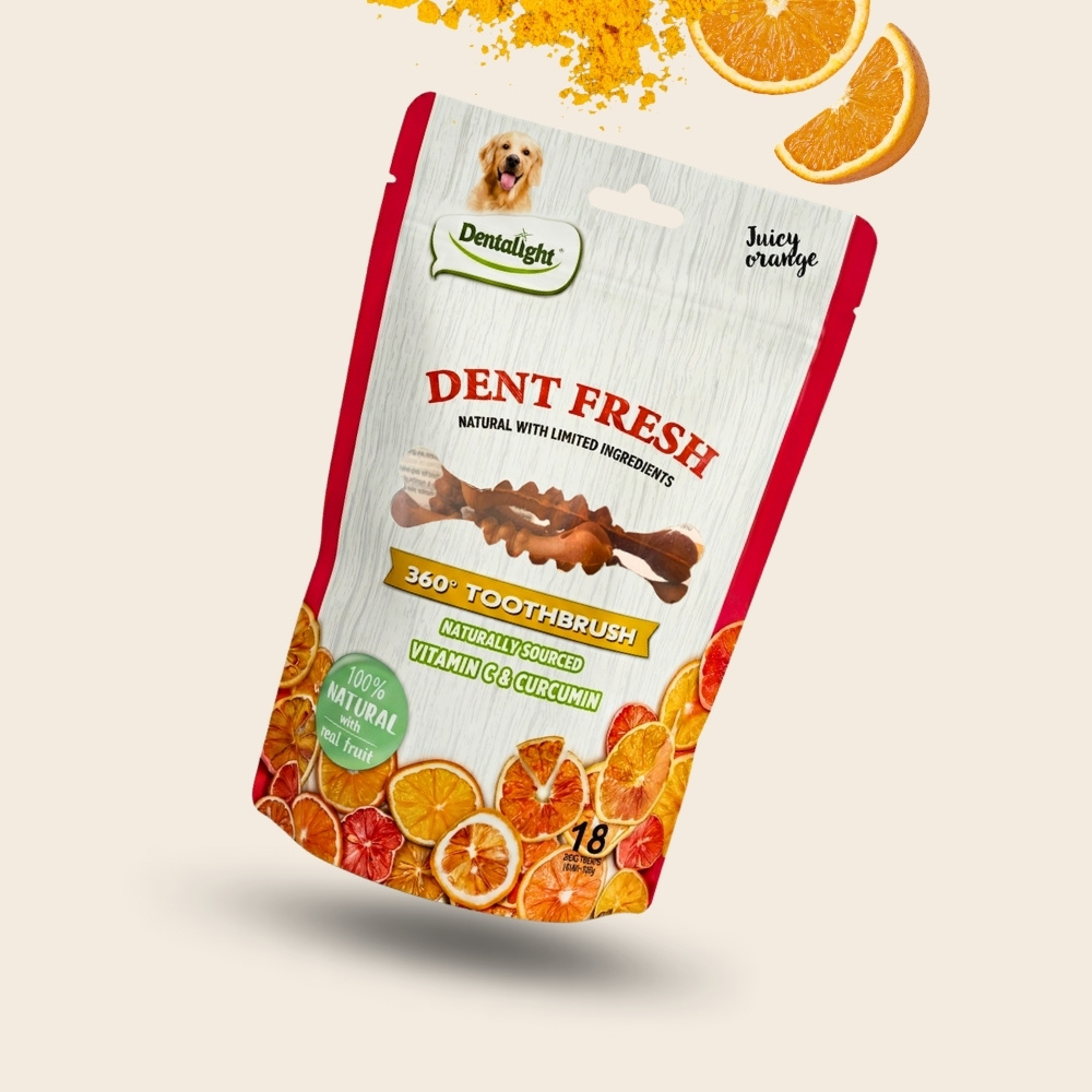 Dent Fresh Laranja e Cúrcuma