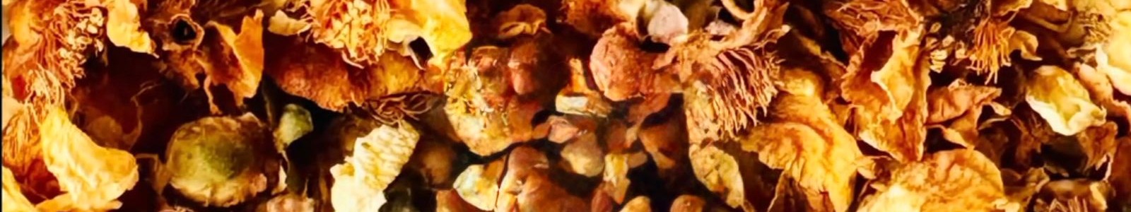 Flores de Camellia Sinensis de Misiones, Flores enteras secadas naturalmente
