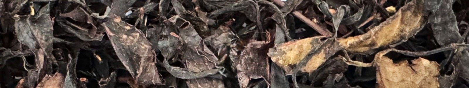 Hebras de Té Negro orgánico de Misiones, hojas oxidadas de cuerpo intenso