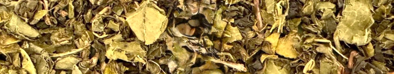 Hebras de Té Verde Perlado orgánico de Misiones, hojas enrolladas de aroma vegetal fresco