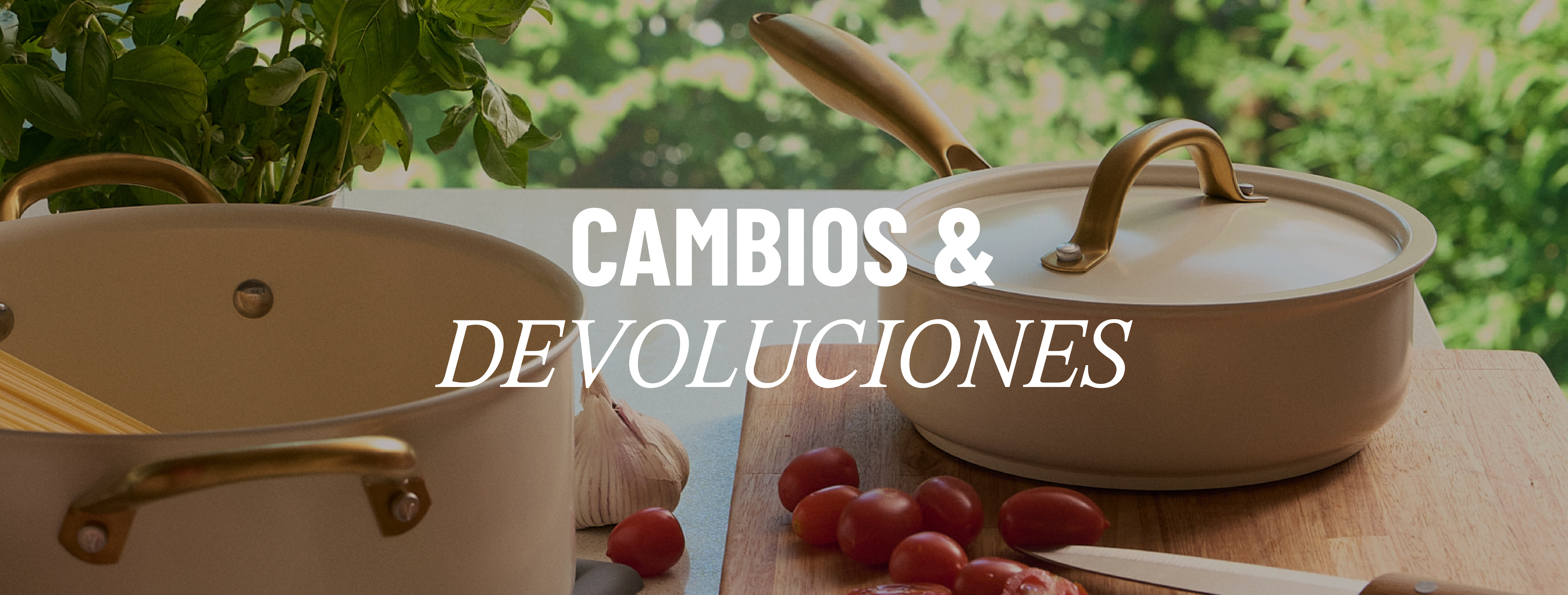 Cambios y Devoluciones Desktop