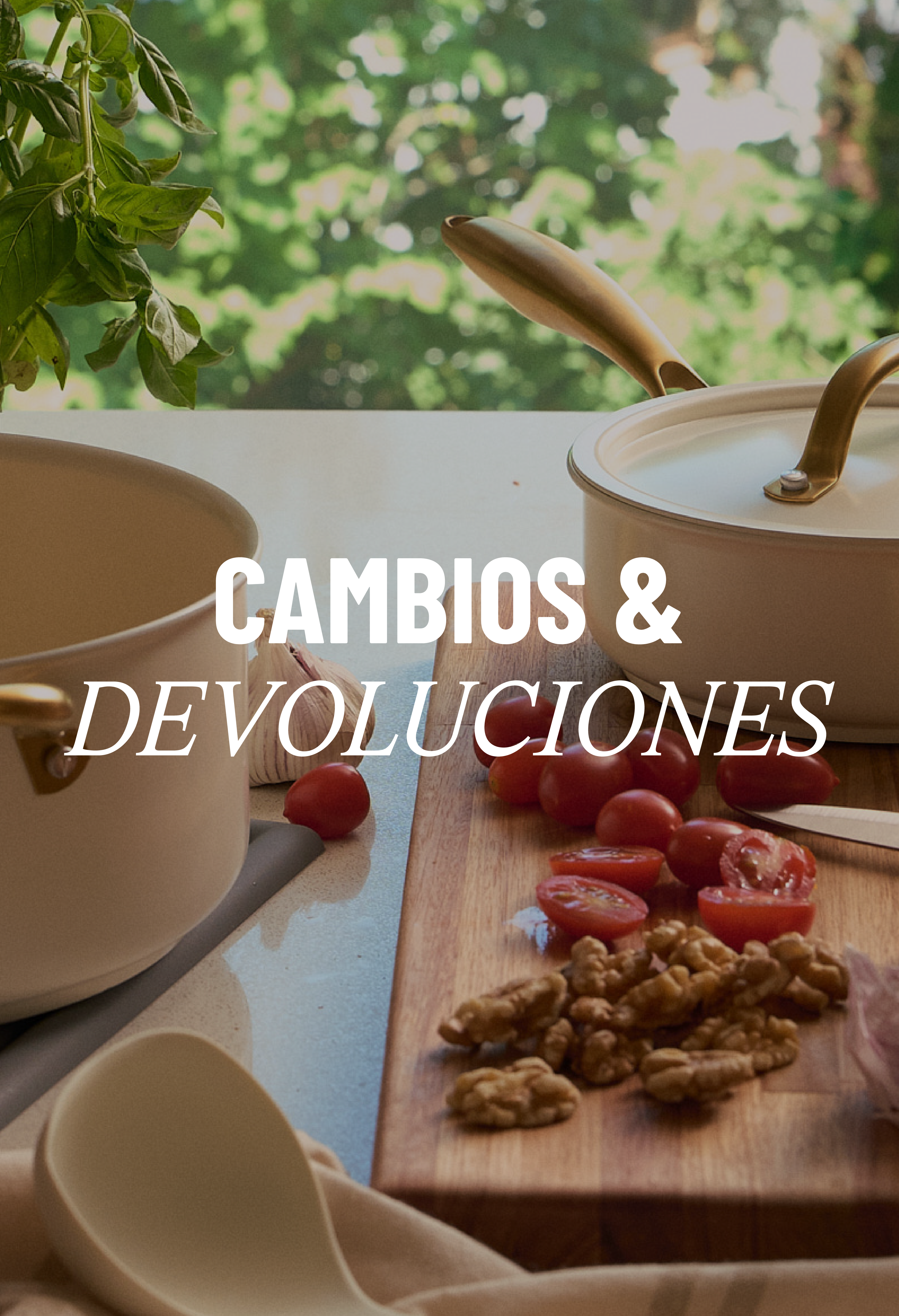 Cambios y Devoluciones Mobile