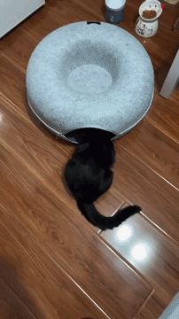 Kitty Cueva en acci&oacute;n