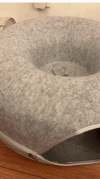 Kitty Cueva en acci&oacute;n