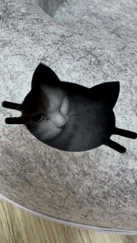 Kitty Cueva en acci&oacute;n