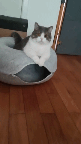 Kitty Cueva en acci&oacute;n