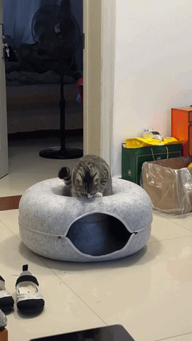 Kitty Cueva en acci&oacute;n