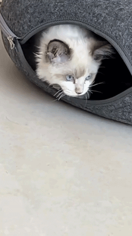 Kitty Cueva en acci&oacute;n