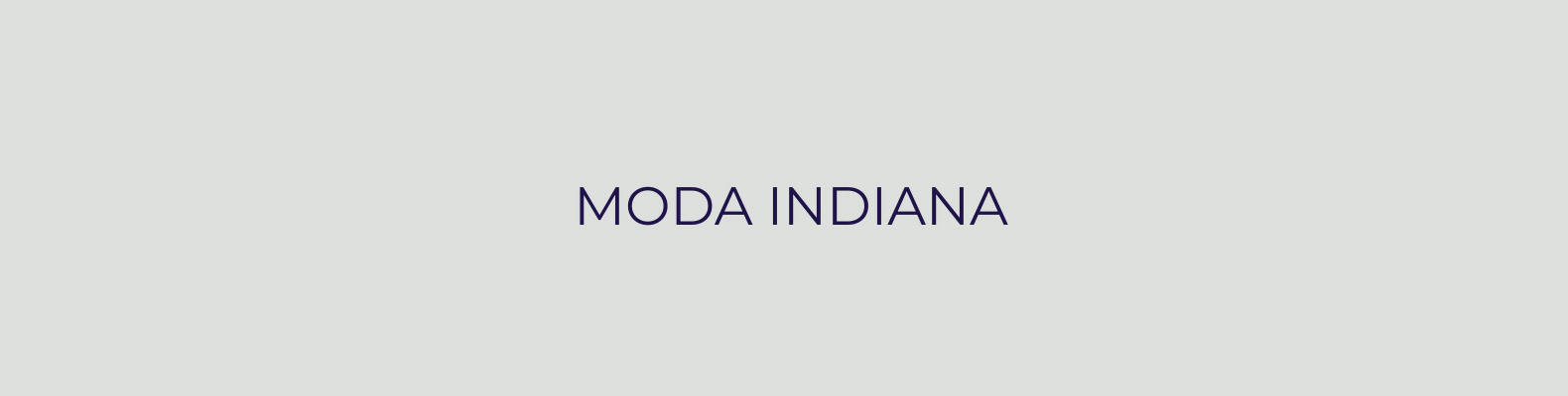 Banner da categoria Moda Indiana