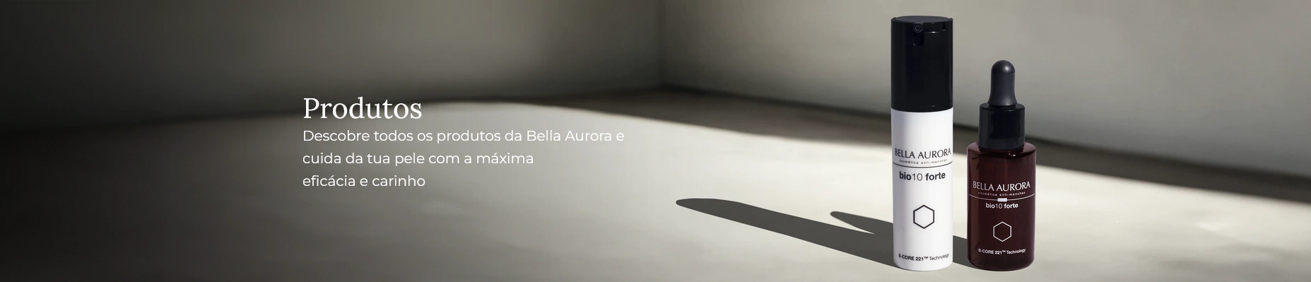 Banner da categoria Produtos