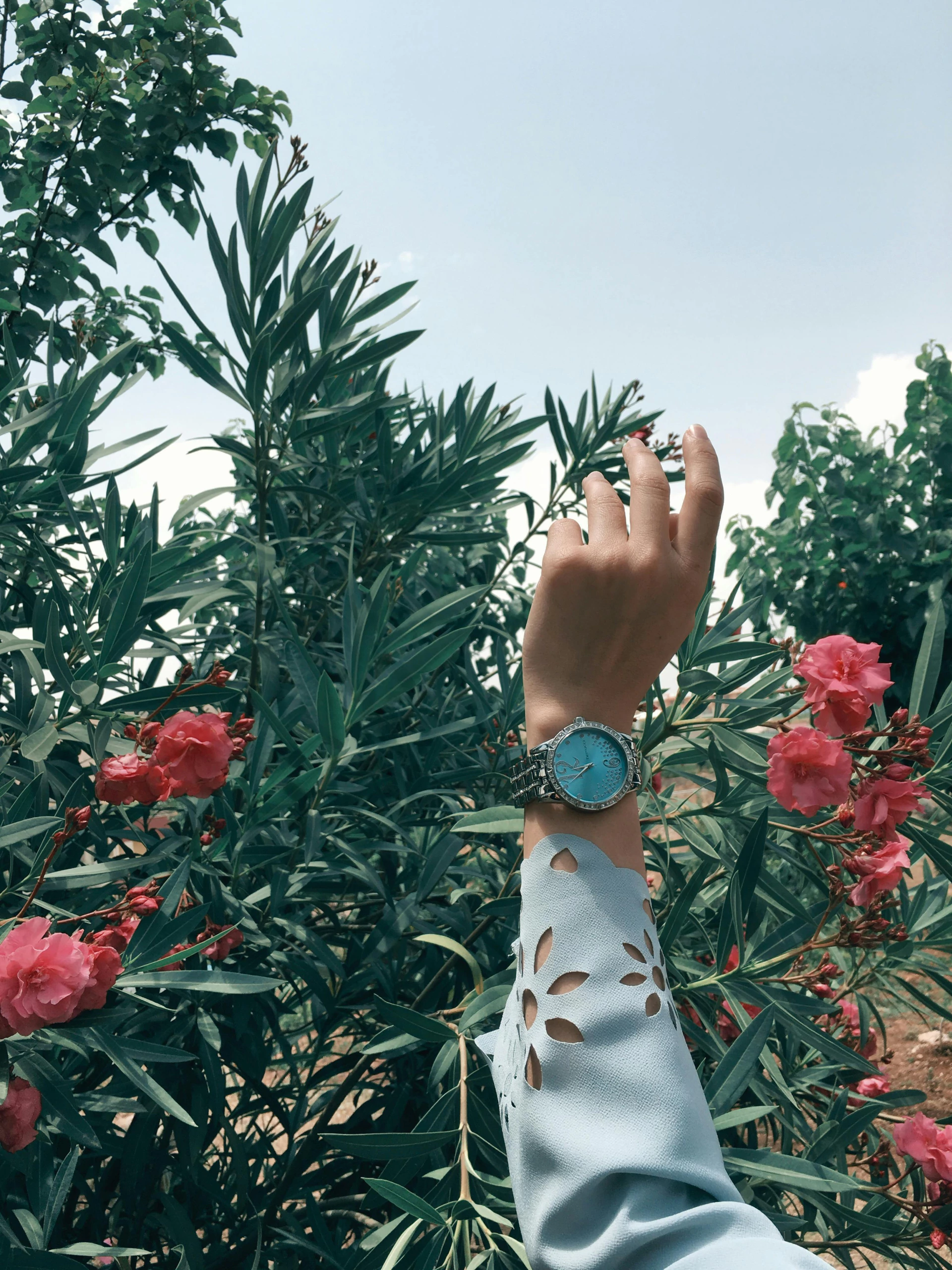 Banner da categoria Relógios femininos 