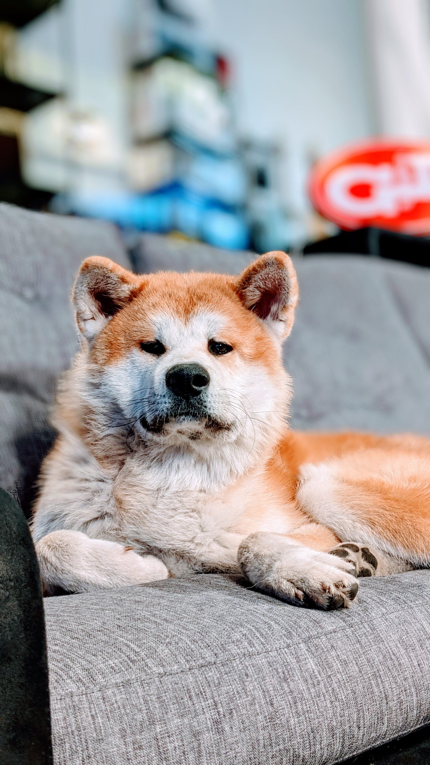 Hiro