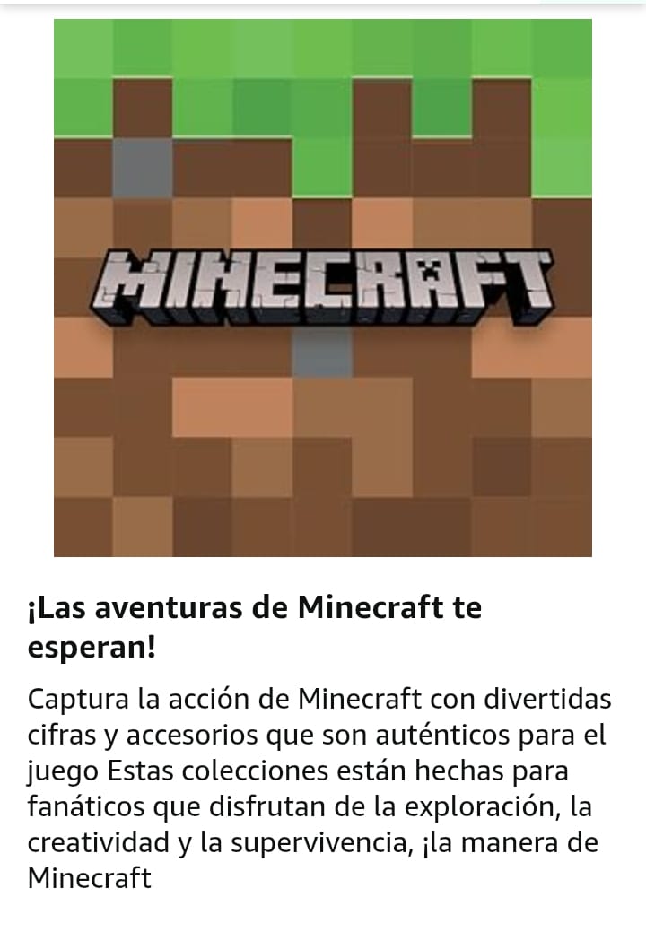 Niño con Espada Minecraft