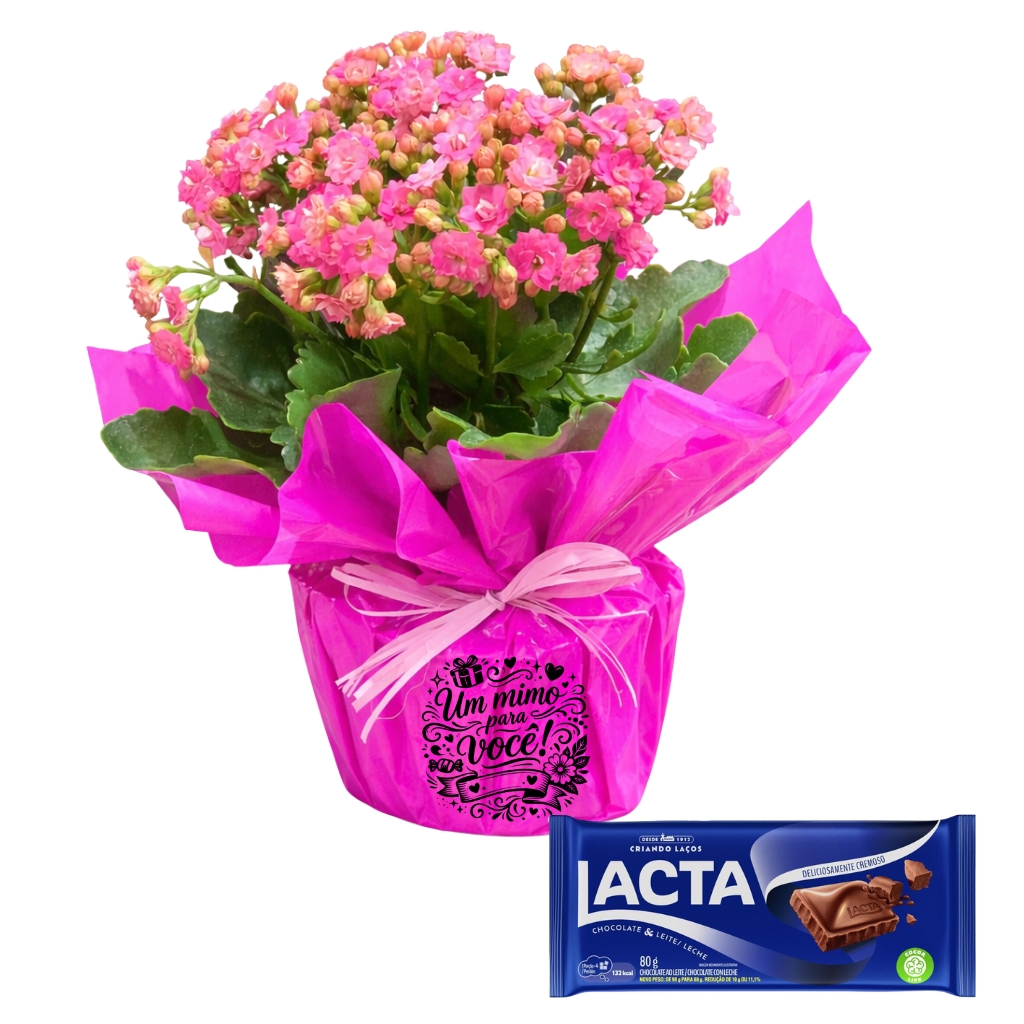 presente flores e chocolate entrega rápida Santo André