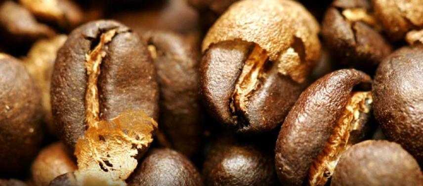 Chaff de café Planeta Musgo