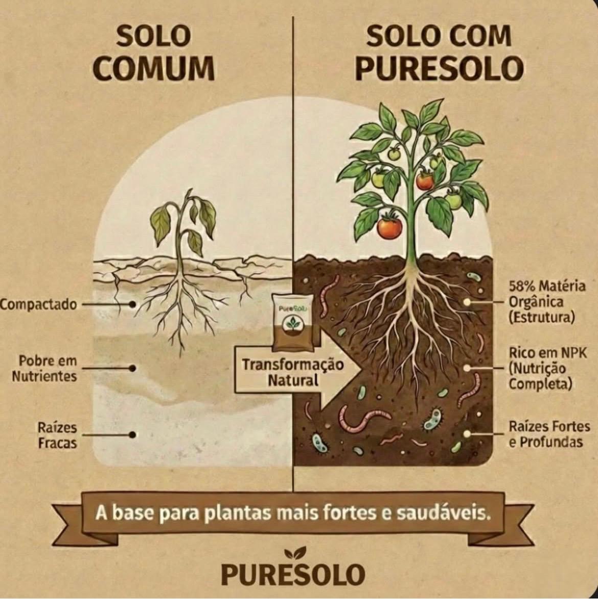Resumo dos Benefícios