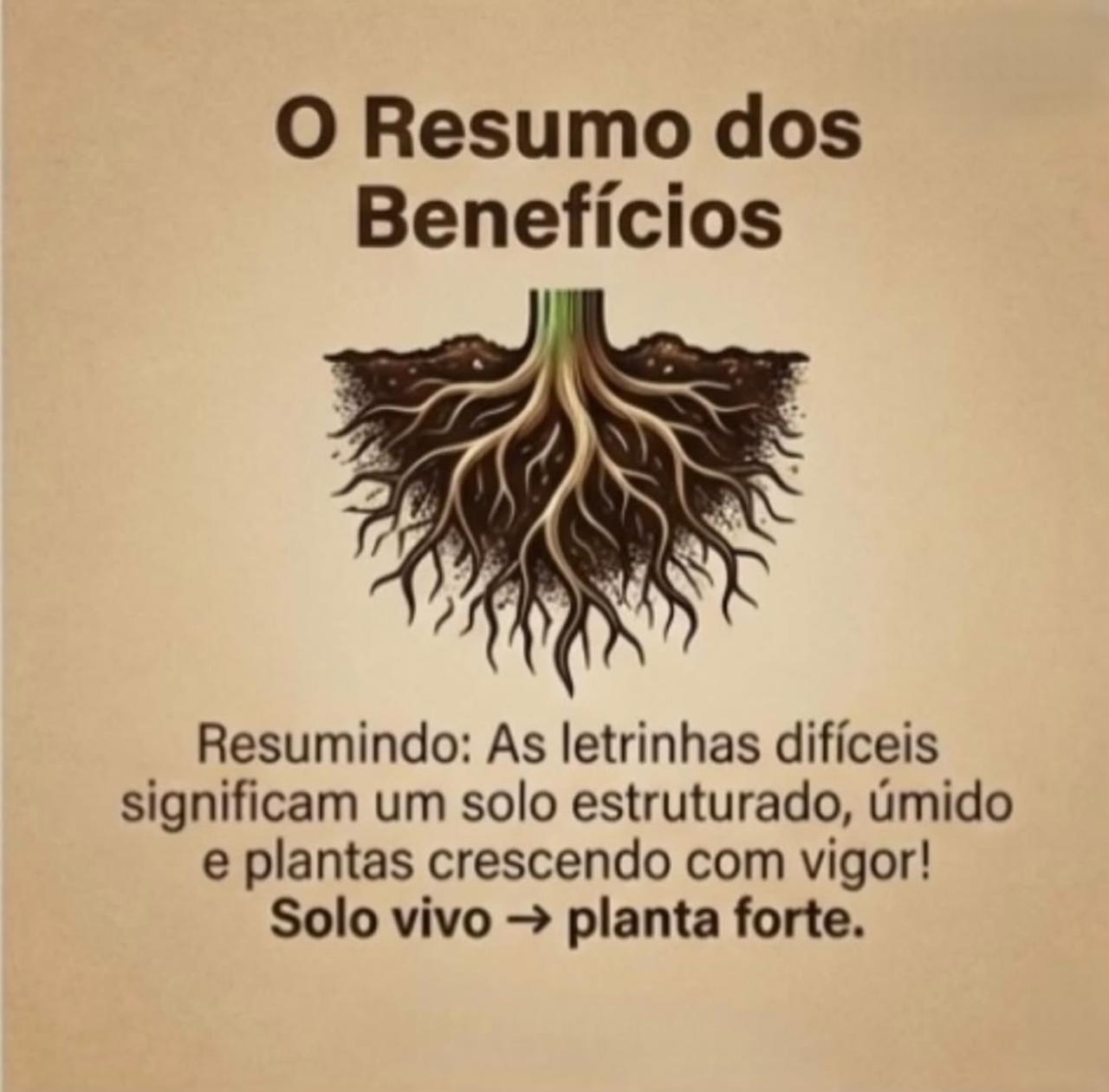 Solo comum vs Solo com PureSolo