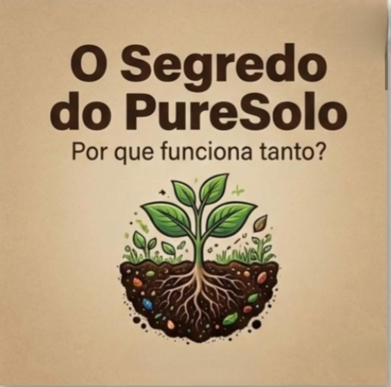 O Segredo do PureSolo