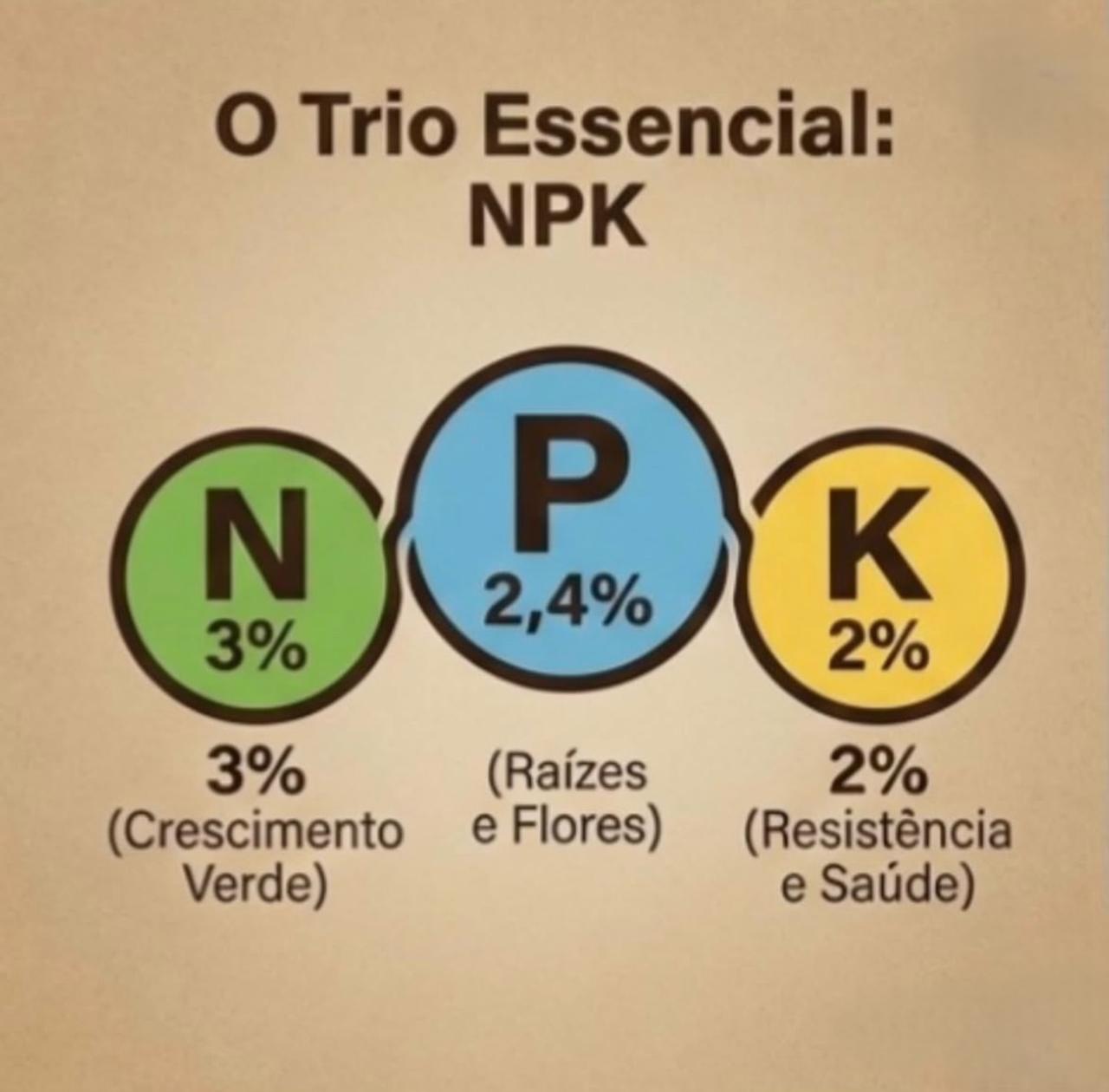 Trio Essencial NPK