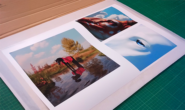 Visual Universal Tienda