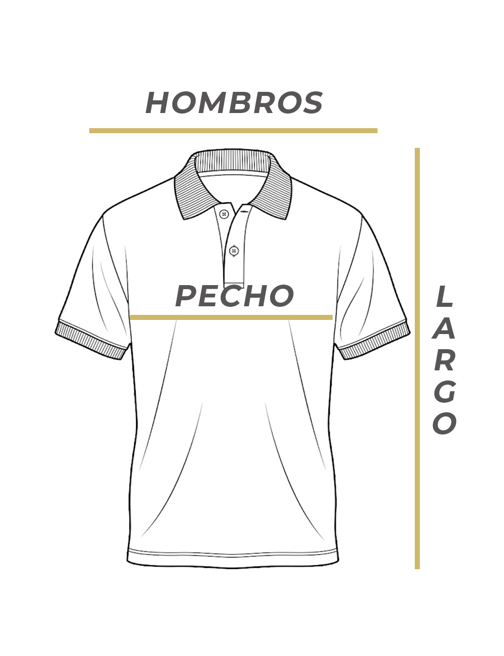 Medidas Nuevo Modelo