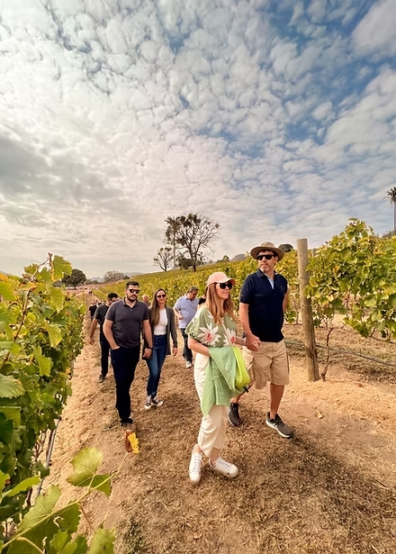 Sala de degustação com mesa posta