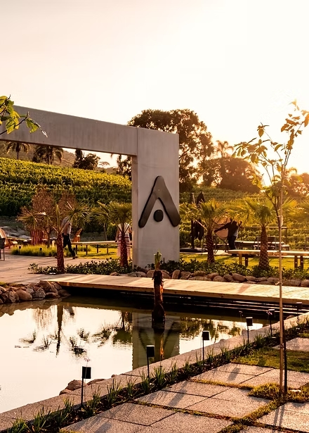 Sala de degustação com mesa posta